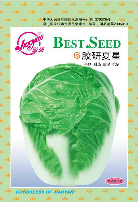 Jiaoyan Xiaxing——Summer-sowing Cabbage